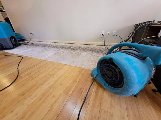Professional Water Damage Repair technician working in Ringoes, NJ
